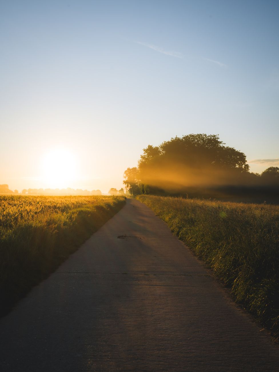 scenic country road at sunrise